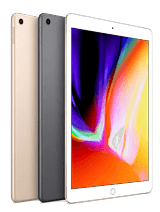 iPad (6th Generation)